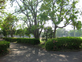 片平公園