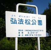 弘法の松公園